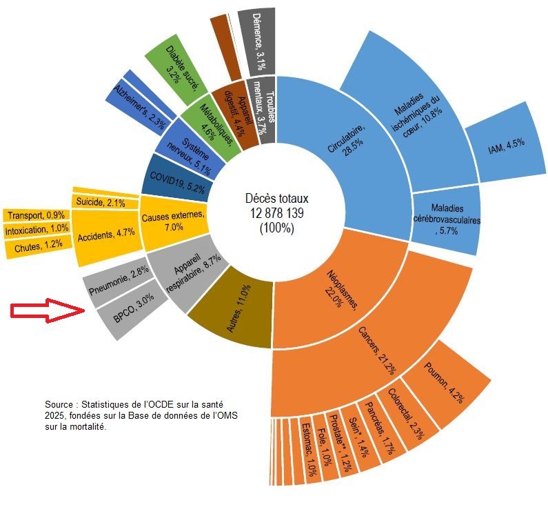 Ocde Causes De Décès